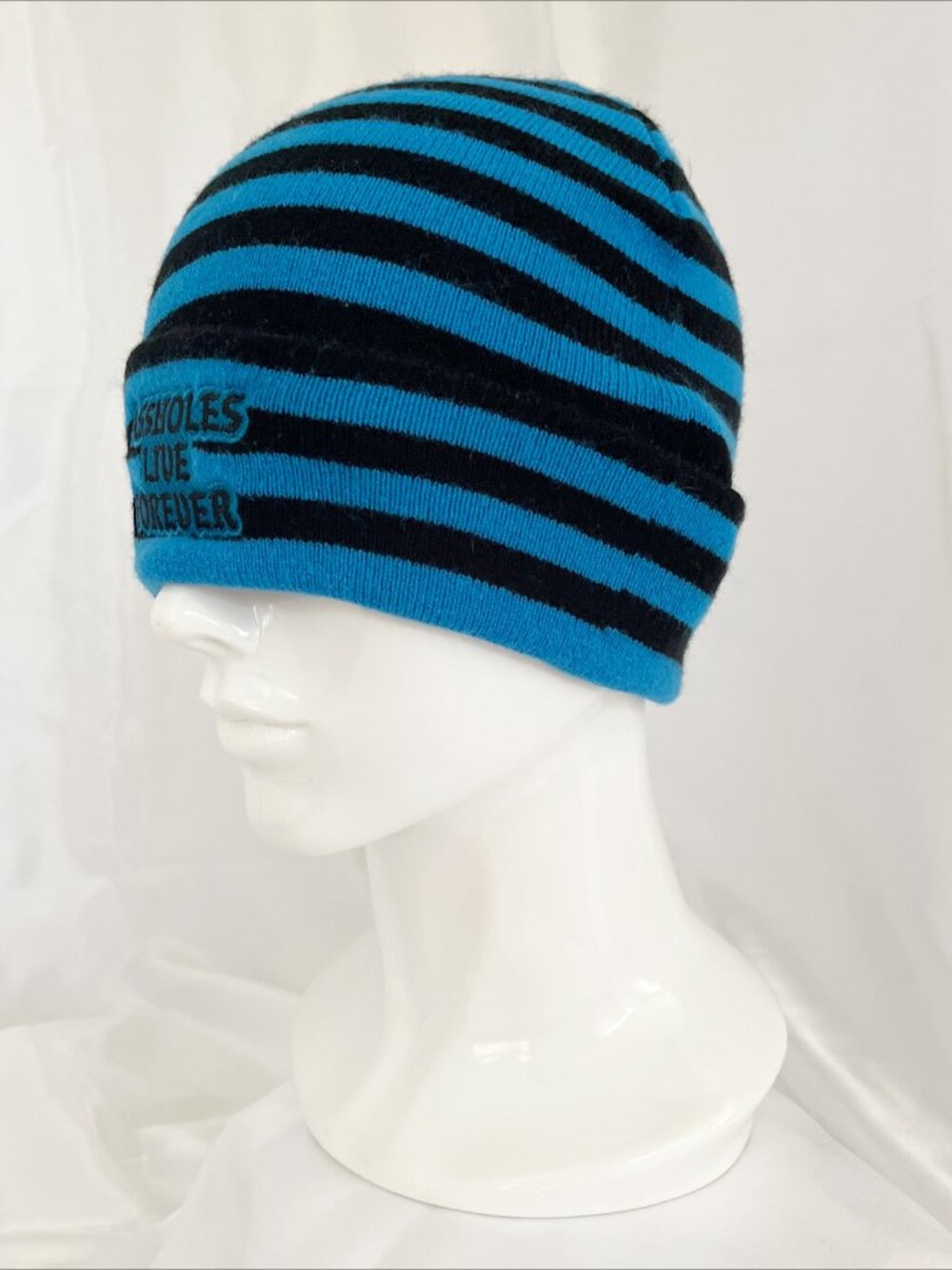 A**HOLES LIVE FOREVER Essential Patch Beanie Blue Black Stripe - Picture 6 of 8